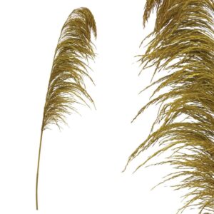 Dried Branch Pampas 00-50011-1