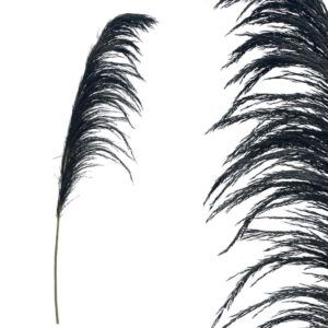 Dried Branch Pampas 00-50011-4