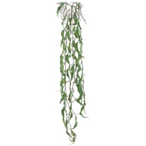 Hanging Root 00-70028-3
