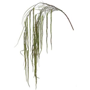 Hanging Root 00-70029-1