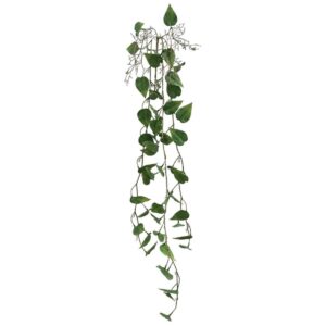Hanging Root 00-70031-2