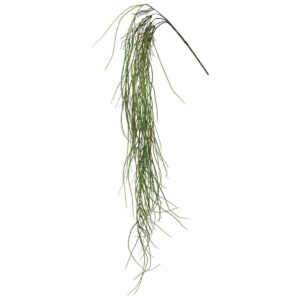 Hanging Root 00-70032-2