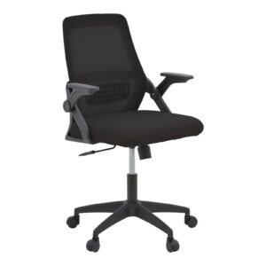 Office chair (069-000092/3)