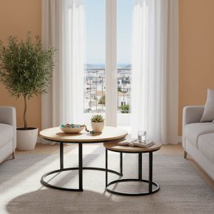 Coffee tables set of 2 (271-000046/50)