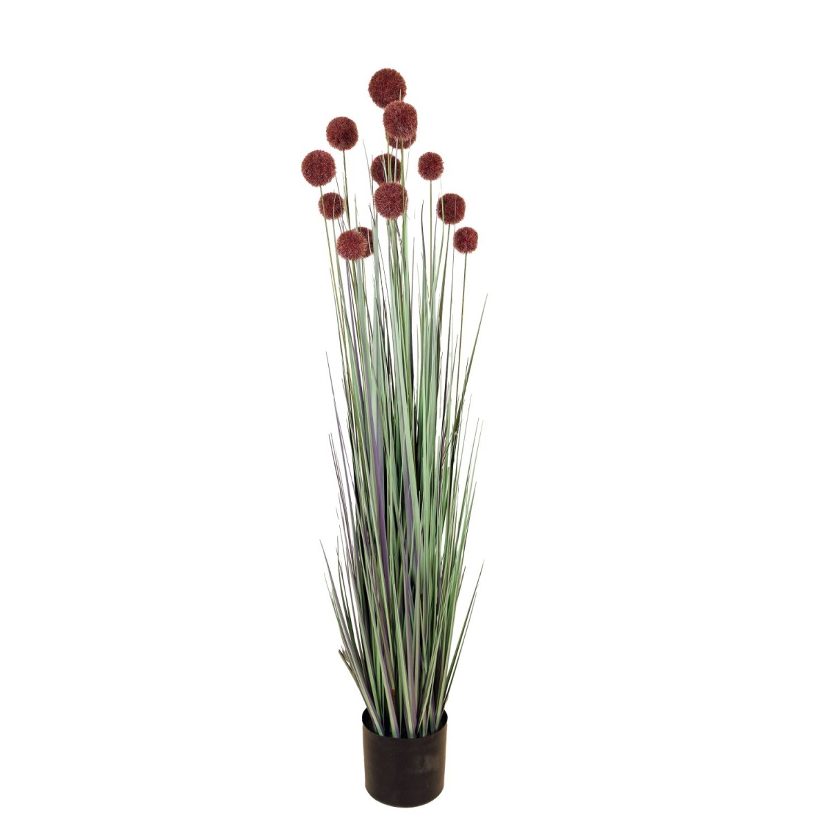 Plant grass (816-50012)