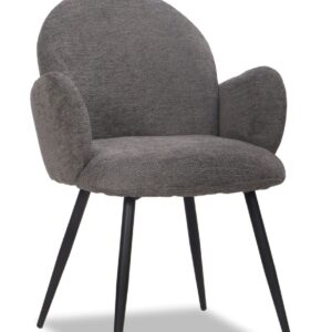 Dining Chair CC-020