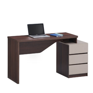 Computer Study Table CST-3222